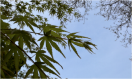 ▲图片来源：车聚网